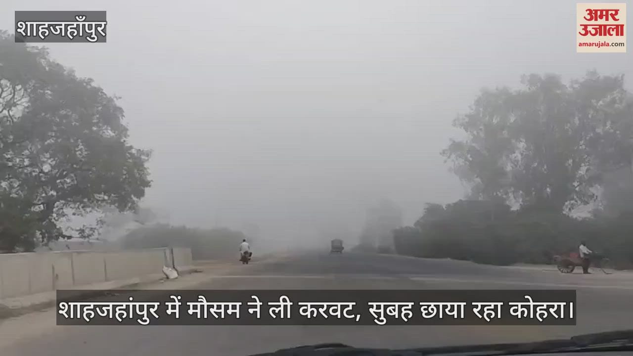 fog prevails in the morning in Shahjahanpur