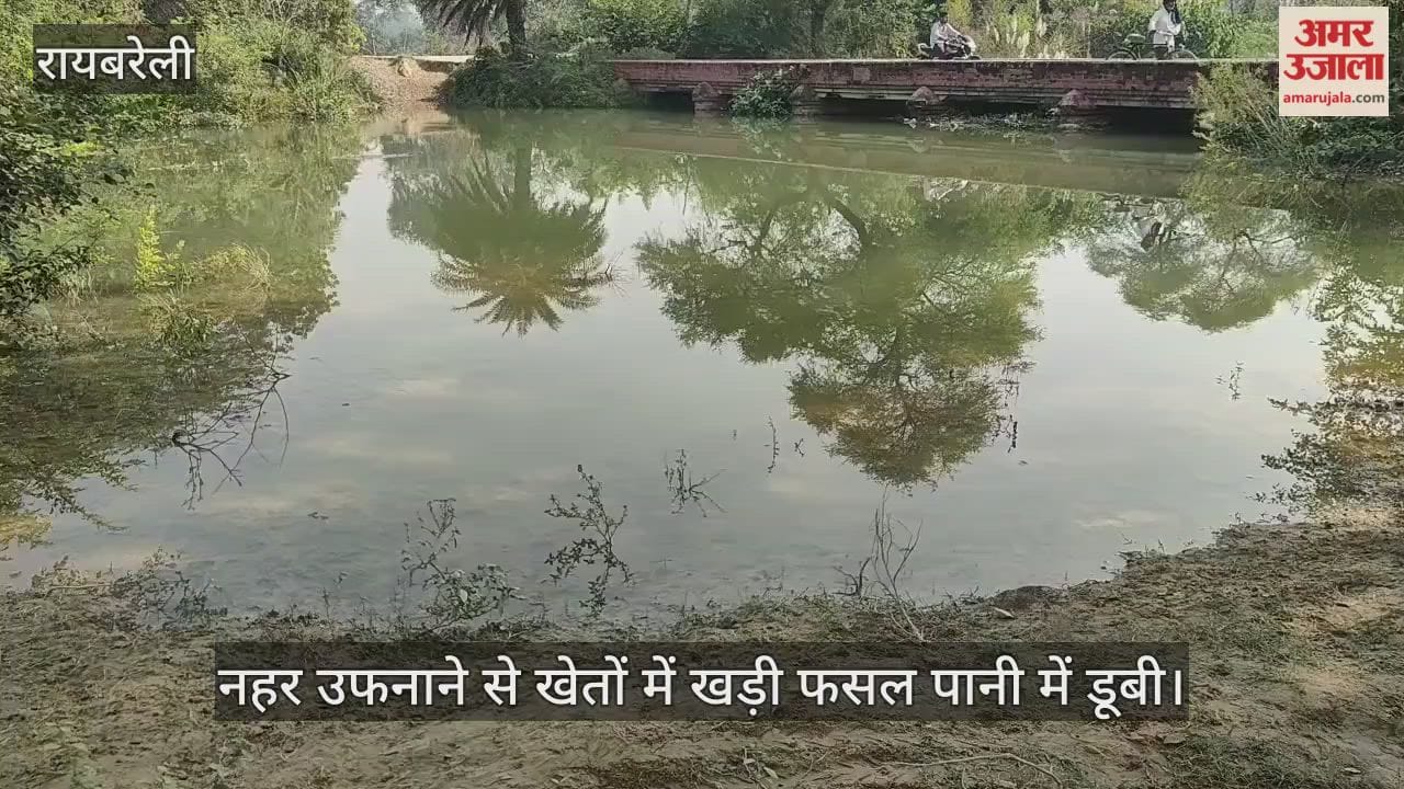 VIDEO: नहर उफनाने से खेतों में खड़ी फसल पानी में डूबी, कसान कर रहे पहरेदारी