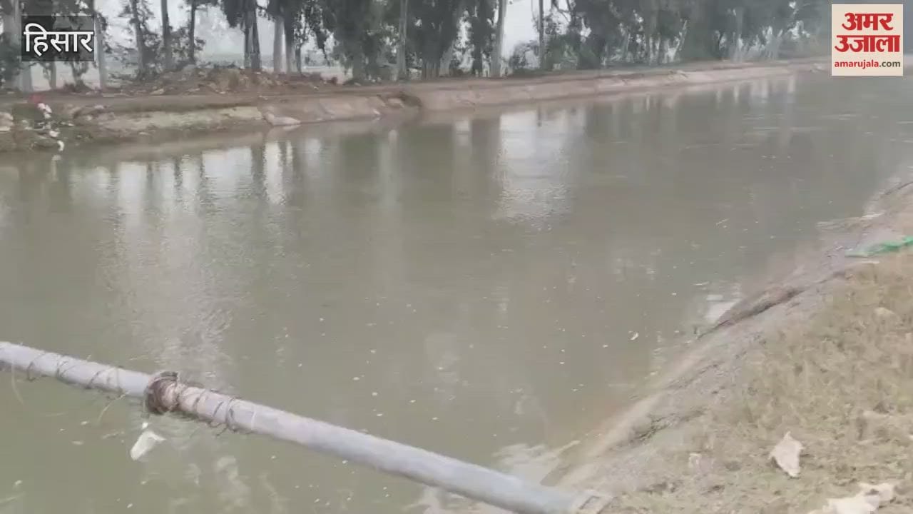 irrigation department in Hisar will release additional 200 cusecs of water, and water reservoirs will be filled through siphons