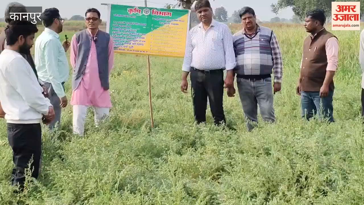 Chickpeas sown using the seal drill method, bumper yields expected; agricultural officials inspect