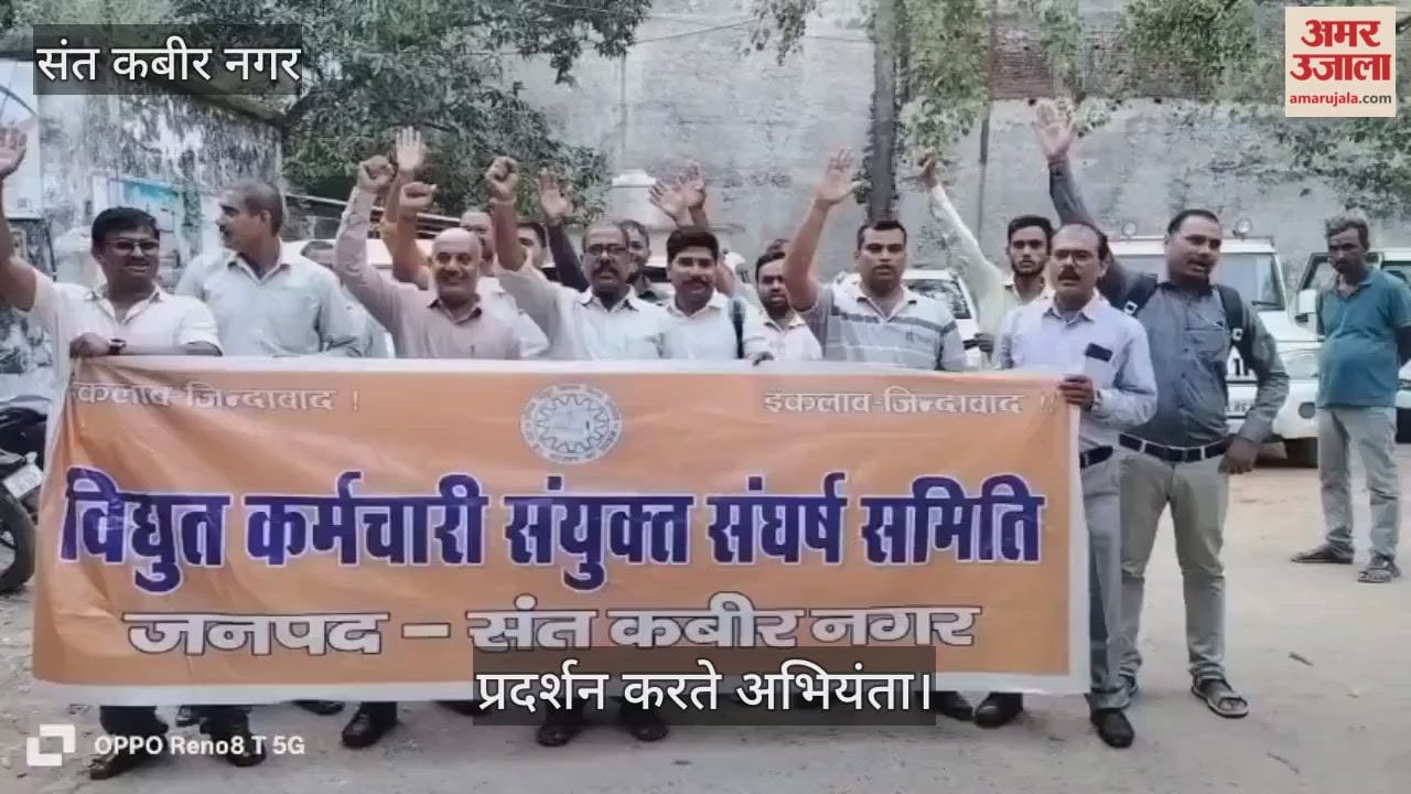 Electricity workers protested against privatization