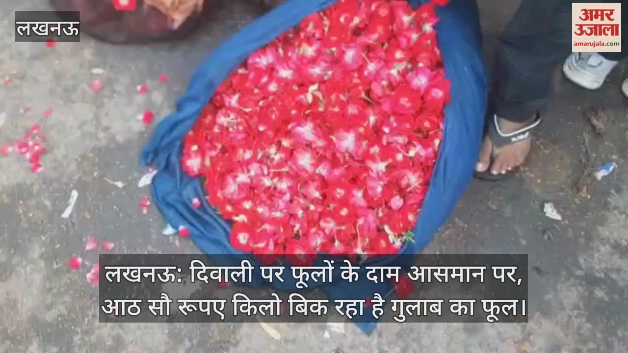 लखनऊ: दिवाली पर फूलों के दाम आसमान पर, आठ सौ रूपए किलो बिक रहा है गुलाब का फूल