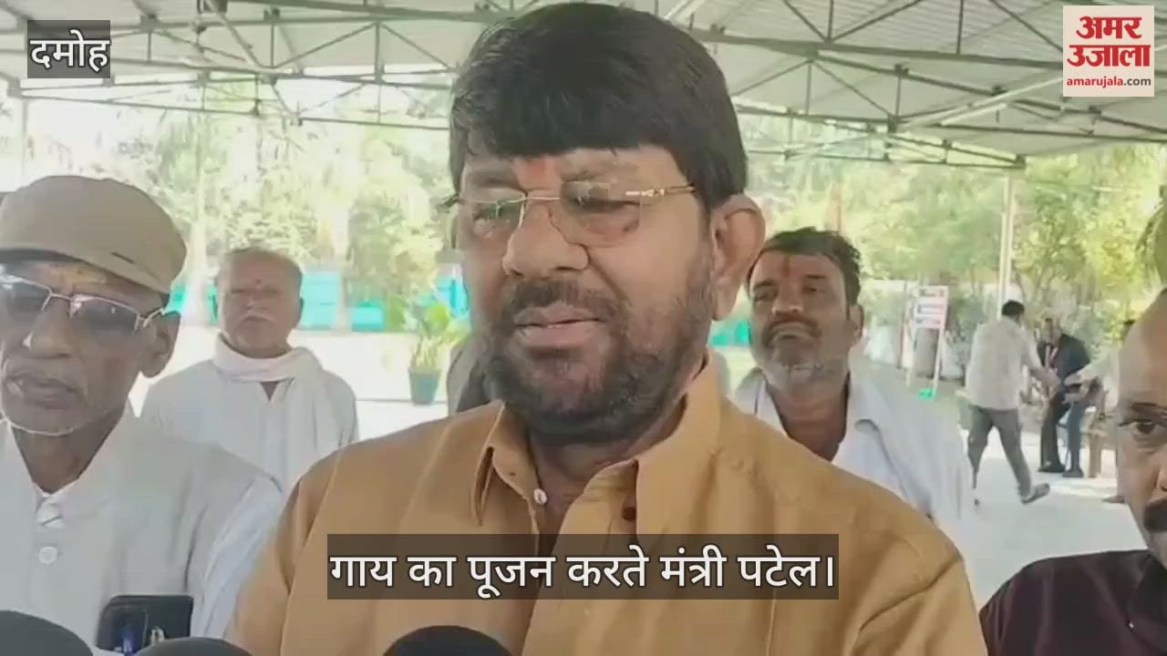 Animal Husbandry Minister worshiped the cow