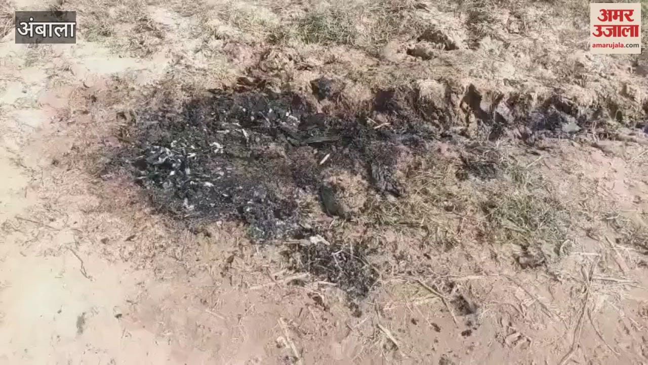 The half-burnt body of a young woman was found in a field in a village bordering Punjab in Ambala.