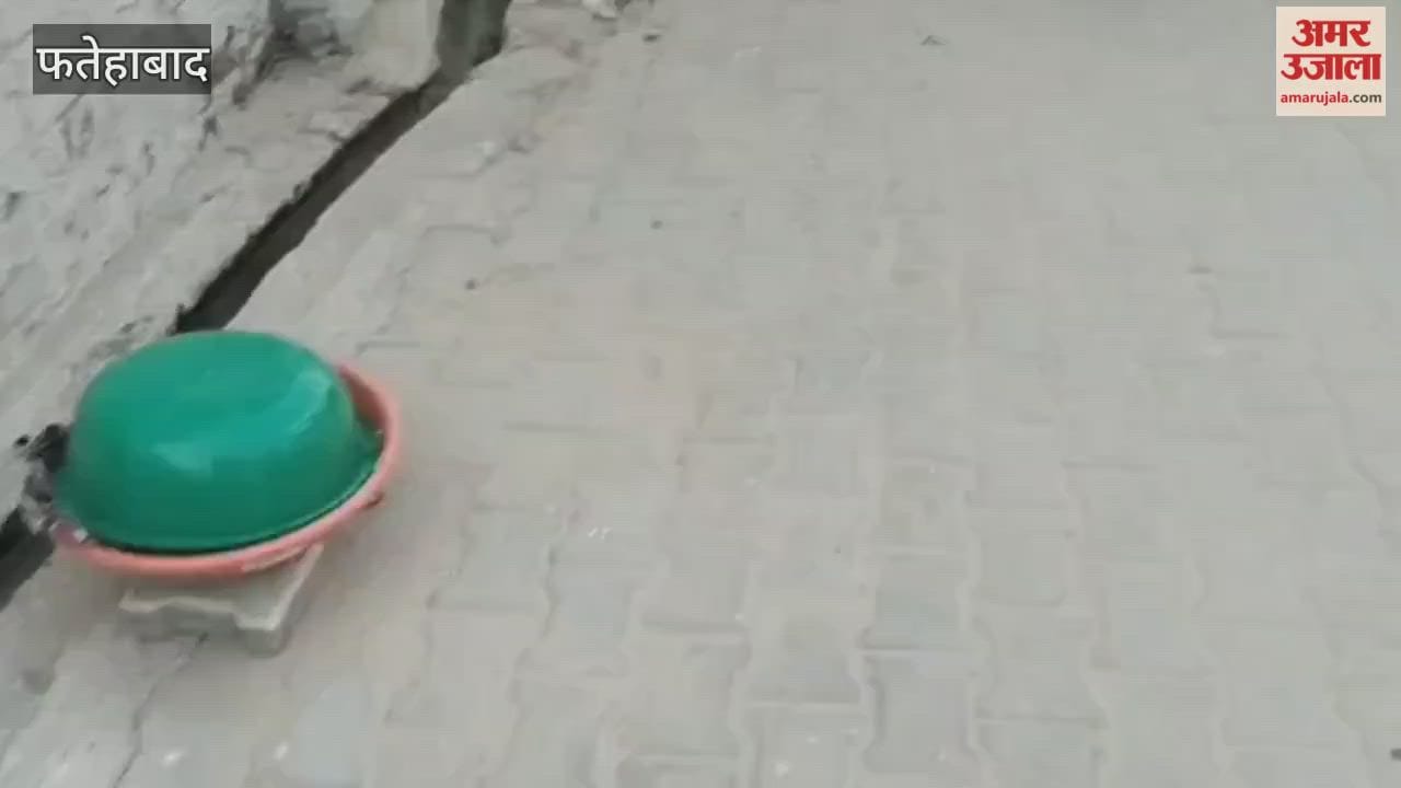 body of a newborn girl was found in front of a house in Jakhal, Fatehabad, causing a sensation.