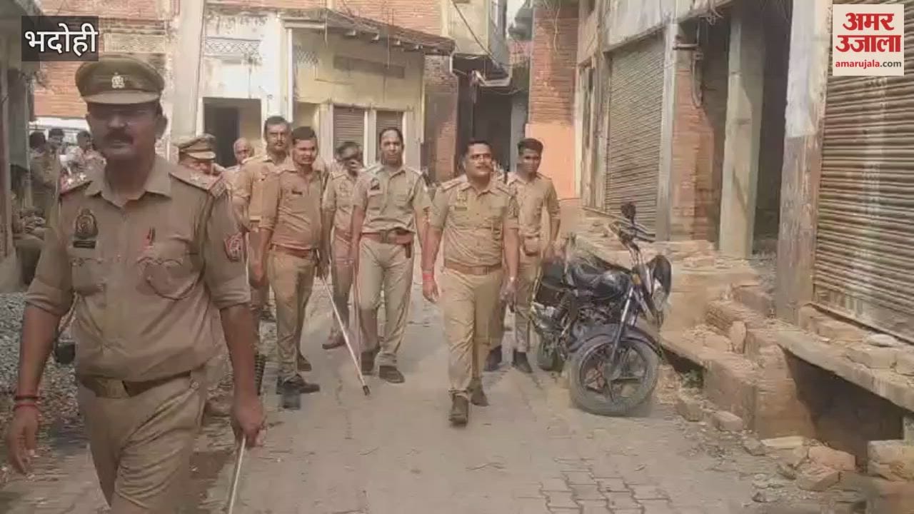 Police raid on illegal slaughterhouse VIDEO