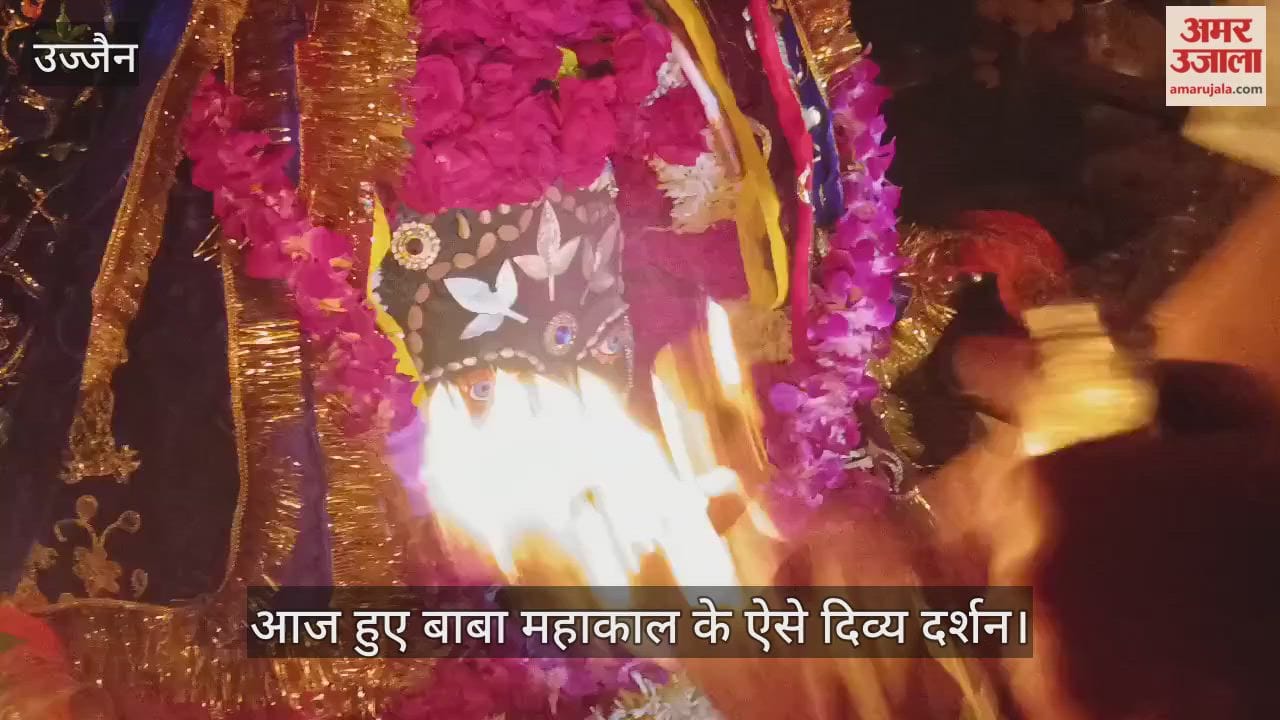 Ujjain News: Baba Mahakal Adorned with Bhang During Bhasma Aarti, Temple Resonates with Chants