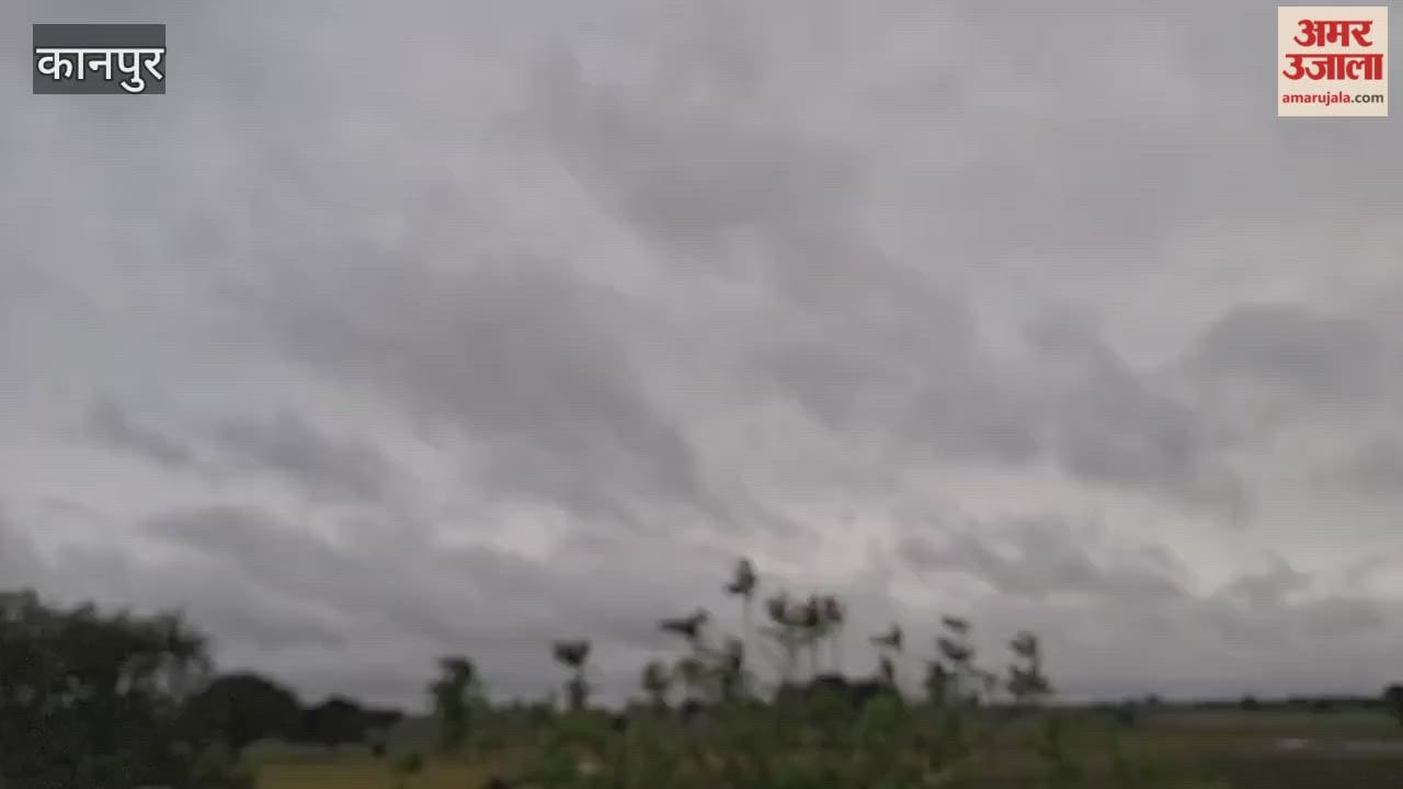 dark clouds hovering over the Bhitargaon area have disturbed the sleep of the farmers
