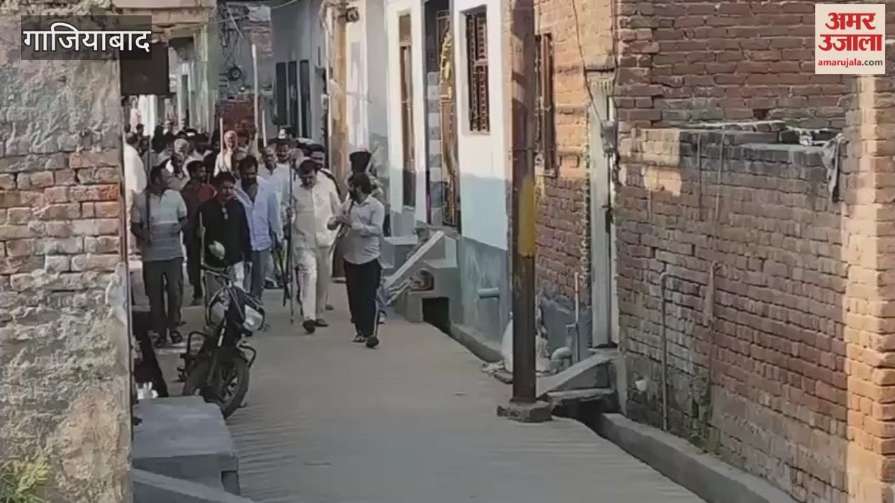 Villagers upset due to monkey attack in Sikri Khurd of Modinagar