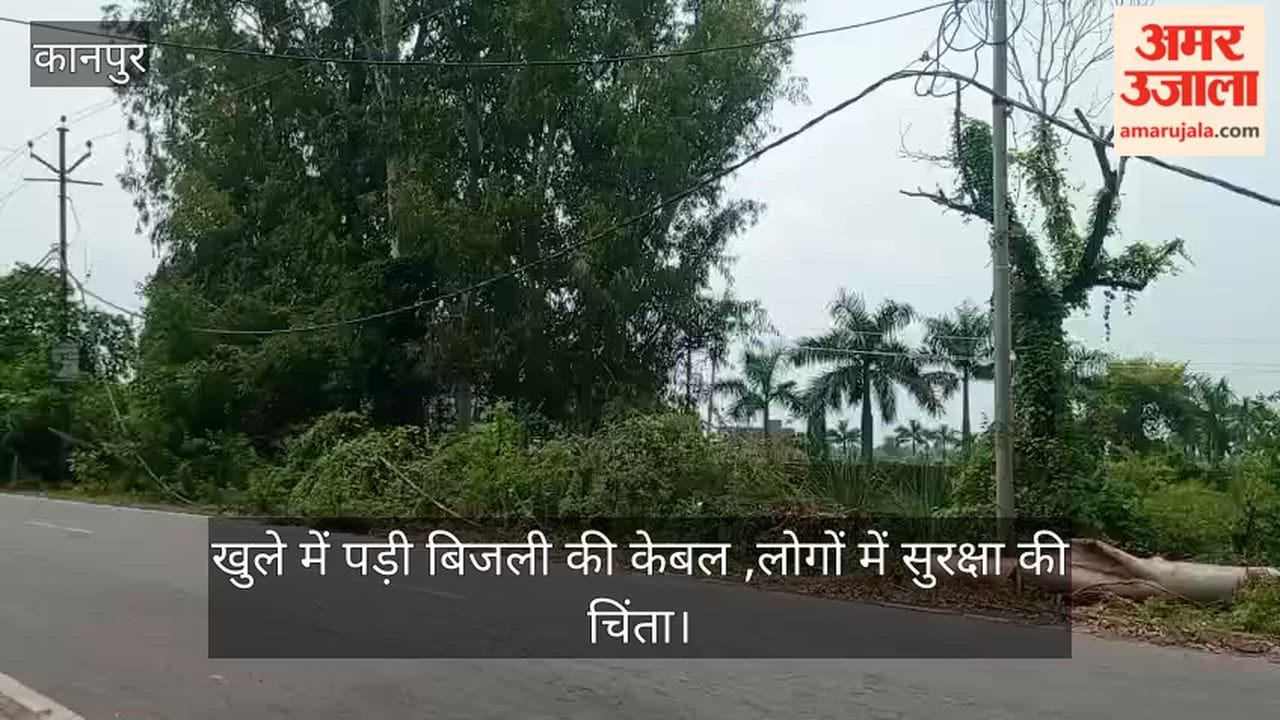 Kanpur: KESCO cable hit by falling tree; lying on the ground for a week.