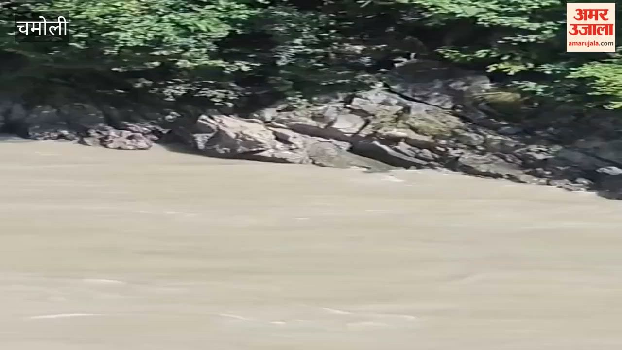 Karnaprayag News Man slips from rock and is swept away in Alaknanda River search operation underway