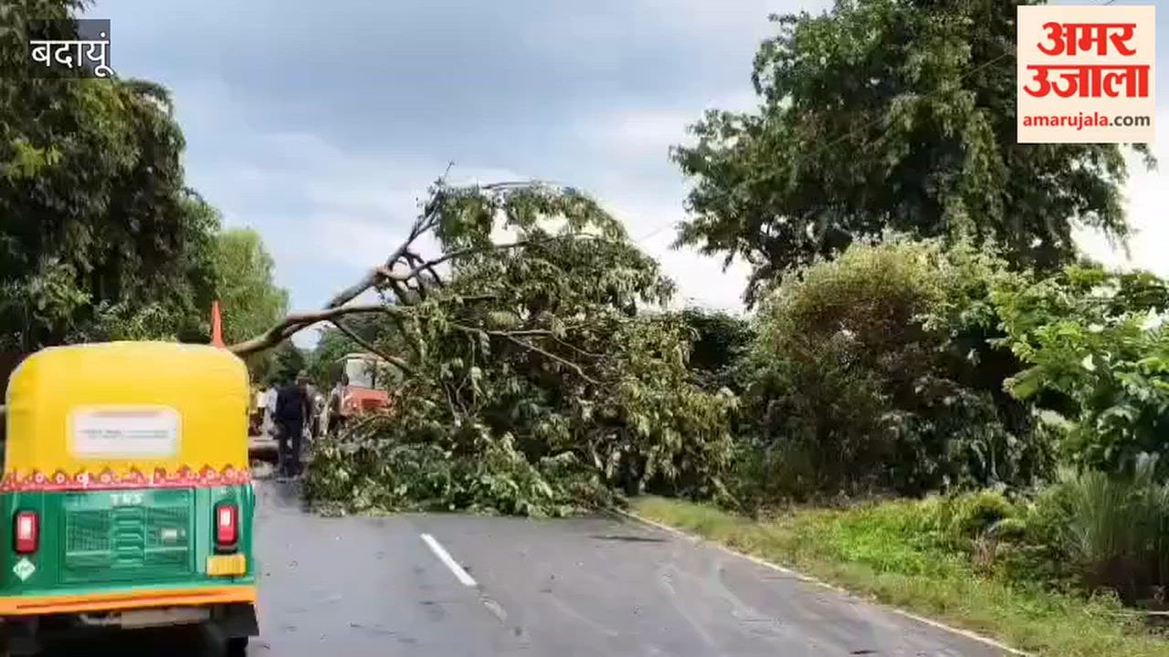 Storm and rain in Badaun Power supply disrupted due to fallen trees