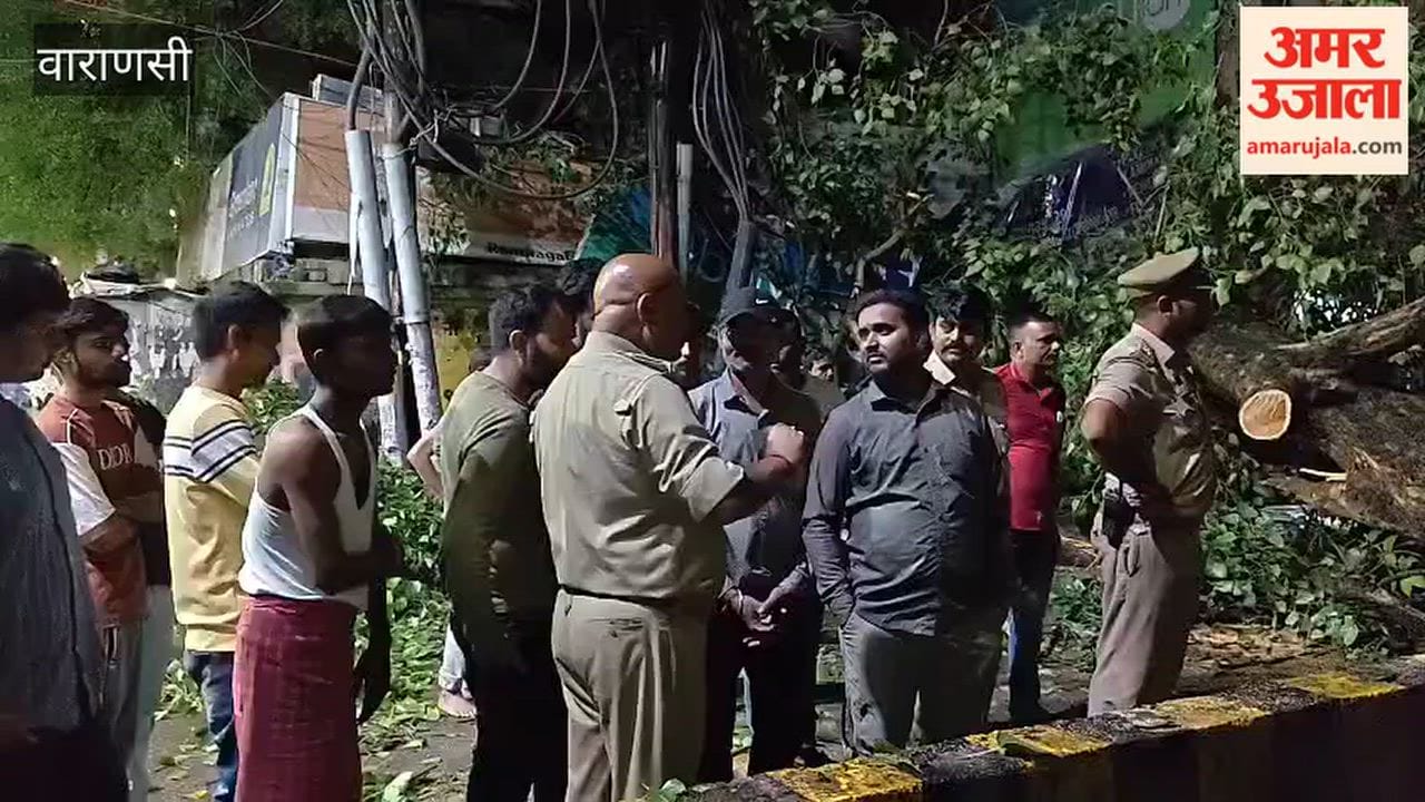 Peepal tree branch falls during storm and rain crushing e rickshaw