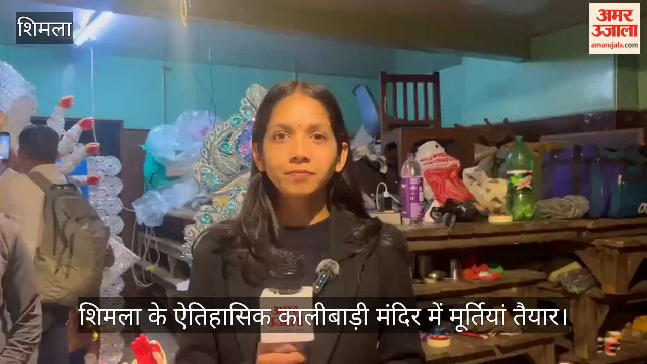 shimla-kalibari-temple-clay-idols-durga-puja