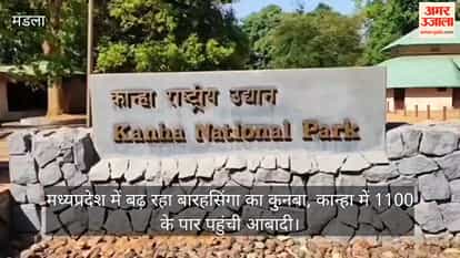The Barasingha population is increasing in Madhya Pradesh, with the population in Kanha reaching over 1,100.