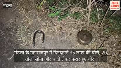35 lakh rupees stolen in broad daylight in Mandla; thieves escaped with 20 tolas of gold and silver.