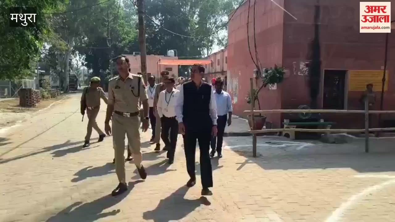 18 percent votes cast in four hours for Teachers-Graduates MCC election in Mathura