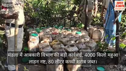 Mandla: Excise department takes major action, destroys 4,000 kg of mahua lahan, seizes 80 litres of raw liquor