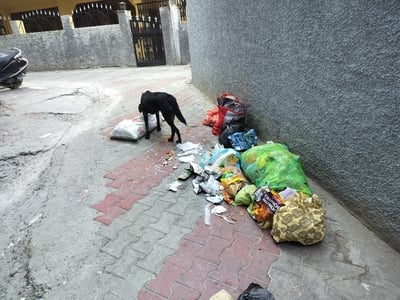 दयानंद चौक के समीप सड़क किनारे लगा कचरे का ढेर। संवाद
