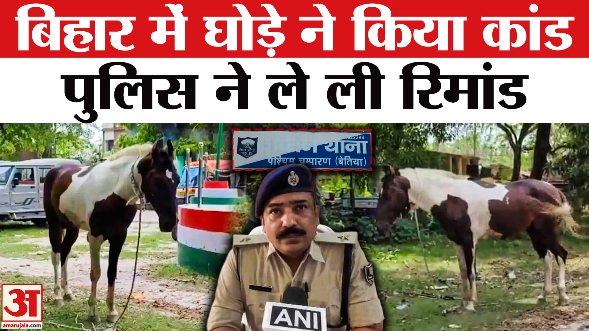 बिहार