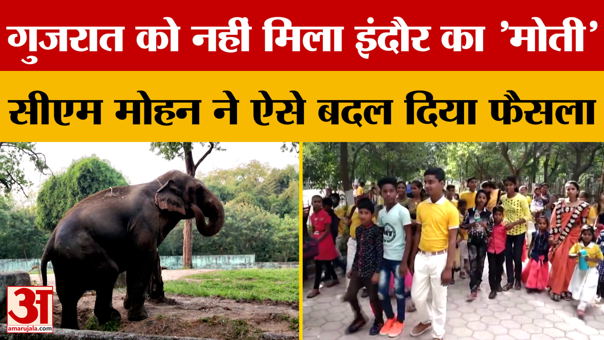 Indore : इंदौरियों की गुहार पर सीएम मोहन ने बदल दिया फैसला, अब मोती को नहीं भेजा जाएगा गुजरात?