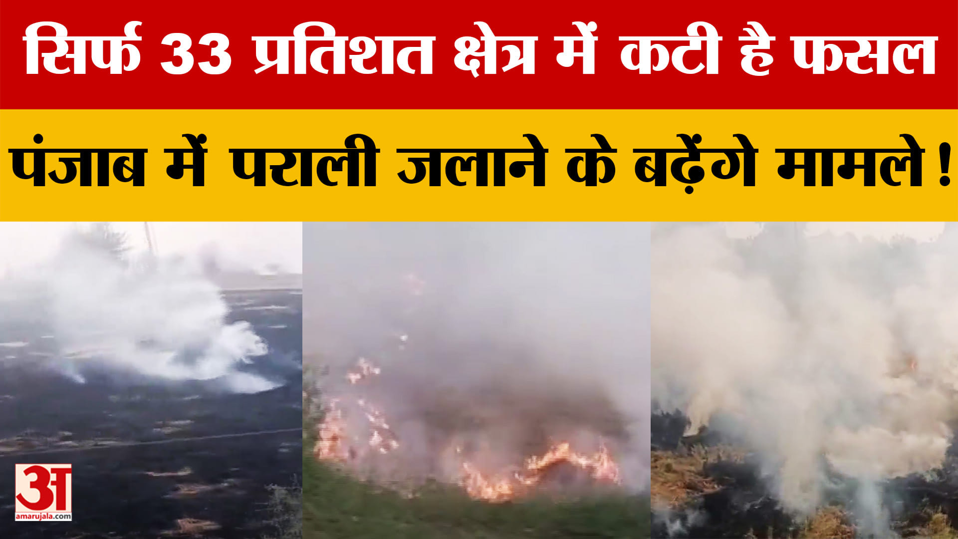 पराली जलाने के मामले दो से तीन गुना बढ़े, सिर्फ 33 प्रतिशत क्षेत्र में कटी है फसल