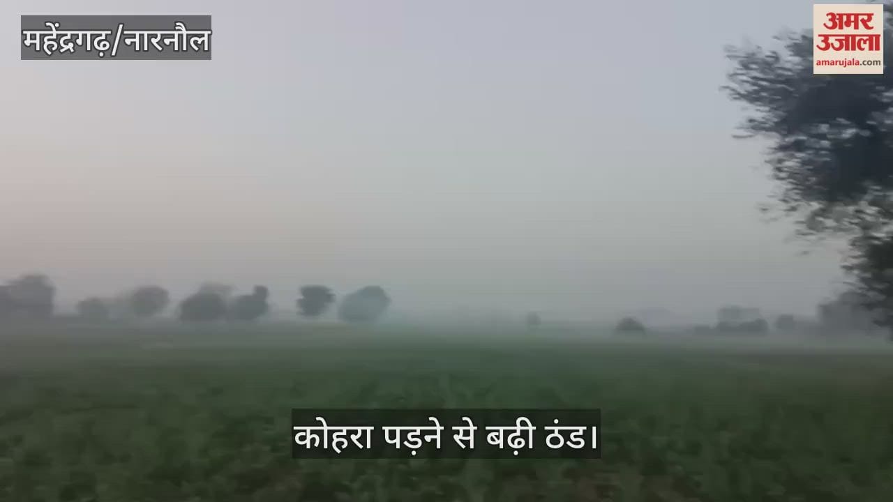 Fog increases cold
