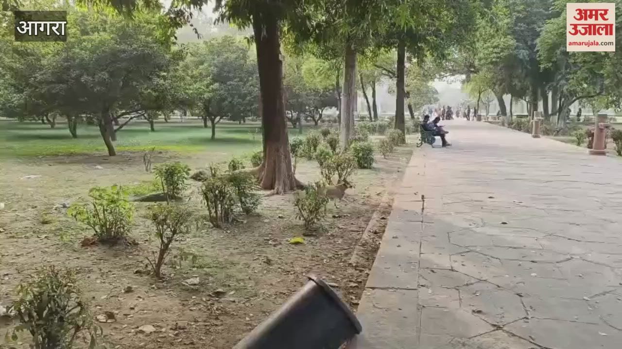 Stray dogs are scaring tourists at Taj Mahal