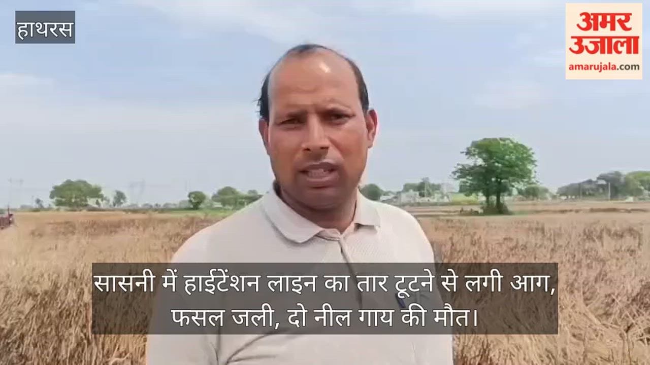 सासनी में हाईटेंशन लाइन का तार टूटने से लगी आग, फसल जली, दो नील गाय की मौत