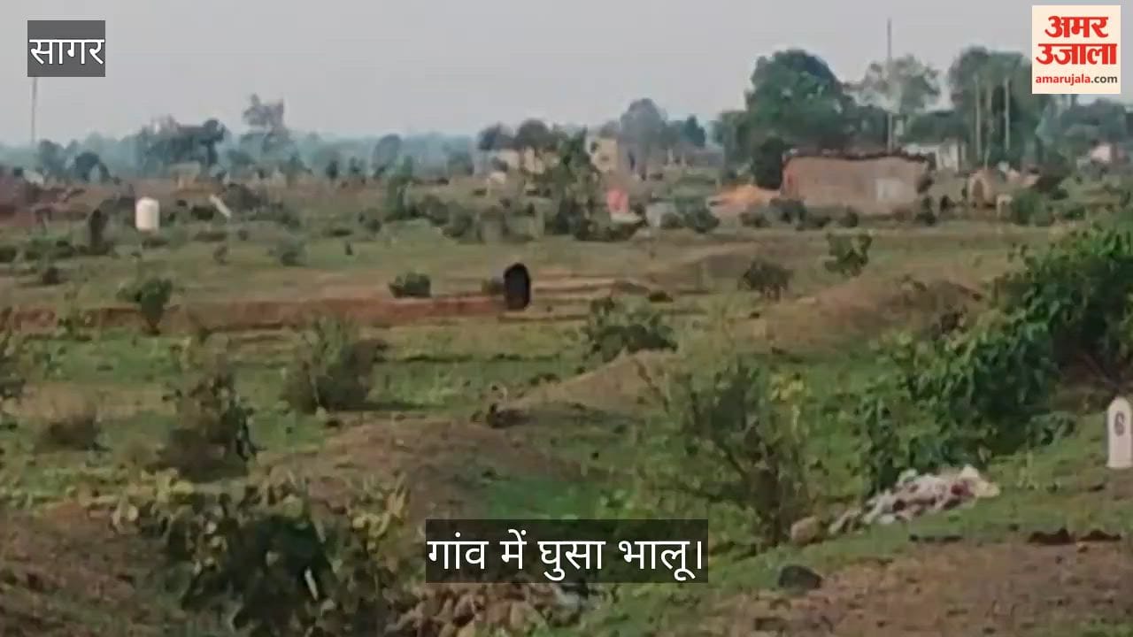bear entered Bhadrana village in Banda; early in the morning, it attacked two women, leaving them bloodied.