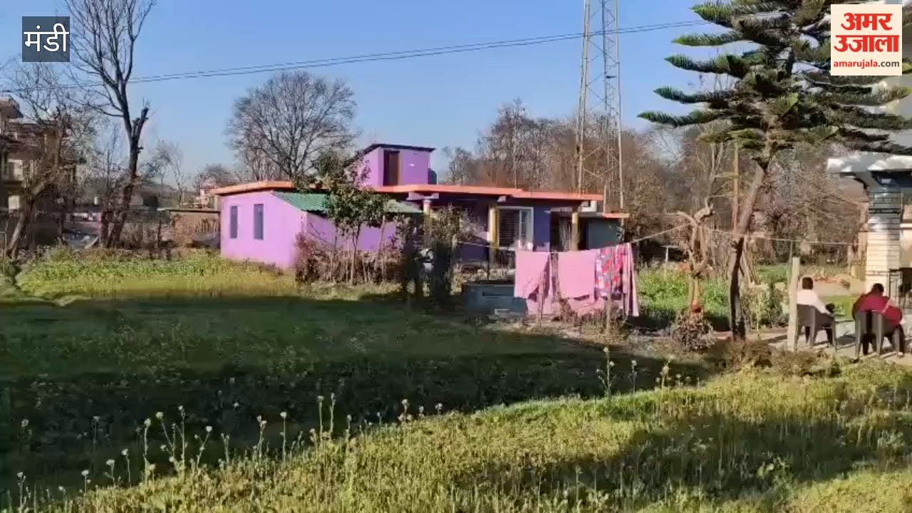sukh ashray yojana sundernagar orphan children financial assistance mandi