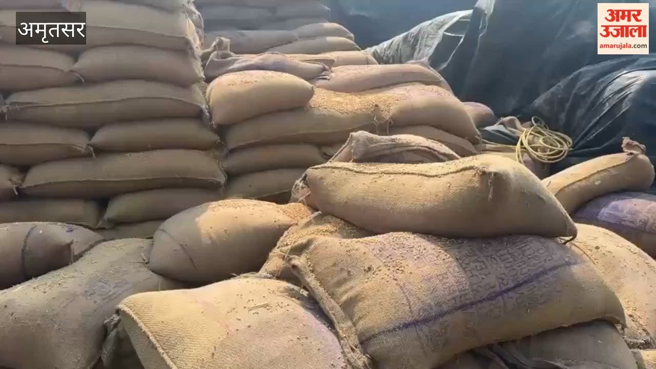 Major heist at government grain warehouse in Amritsar