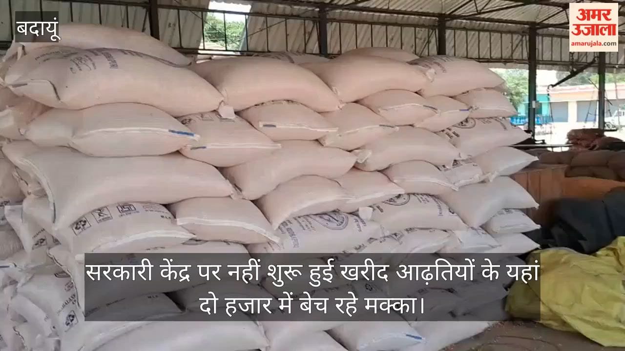 Procurement has not started at the government center in Budaun; maize is being sold to commission agents for 2000