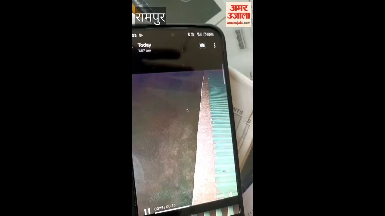 Leopard enters house in Dadhiyal by scaling wall; panic spreads.