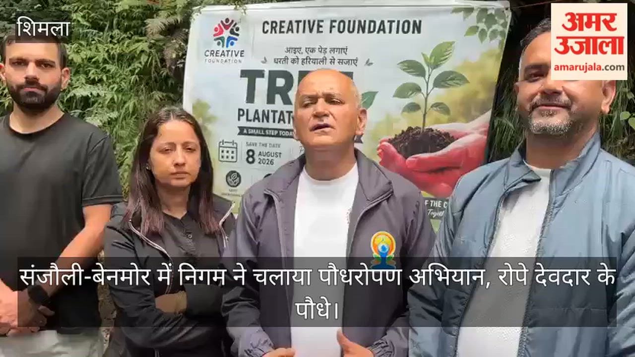Municipal Corporation conducted a plantation drive in Sanjauli-Benmore and planted Deodar saplings.