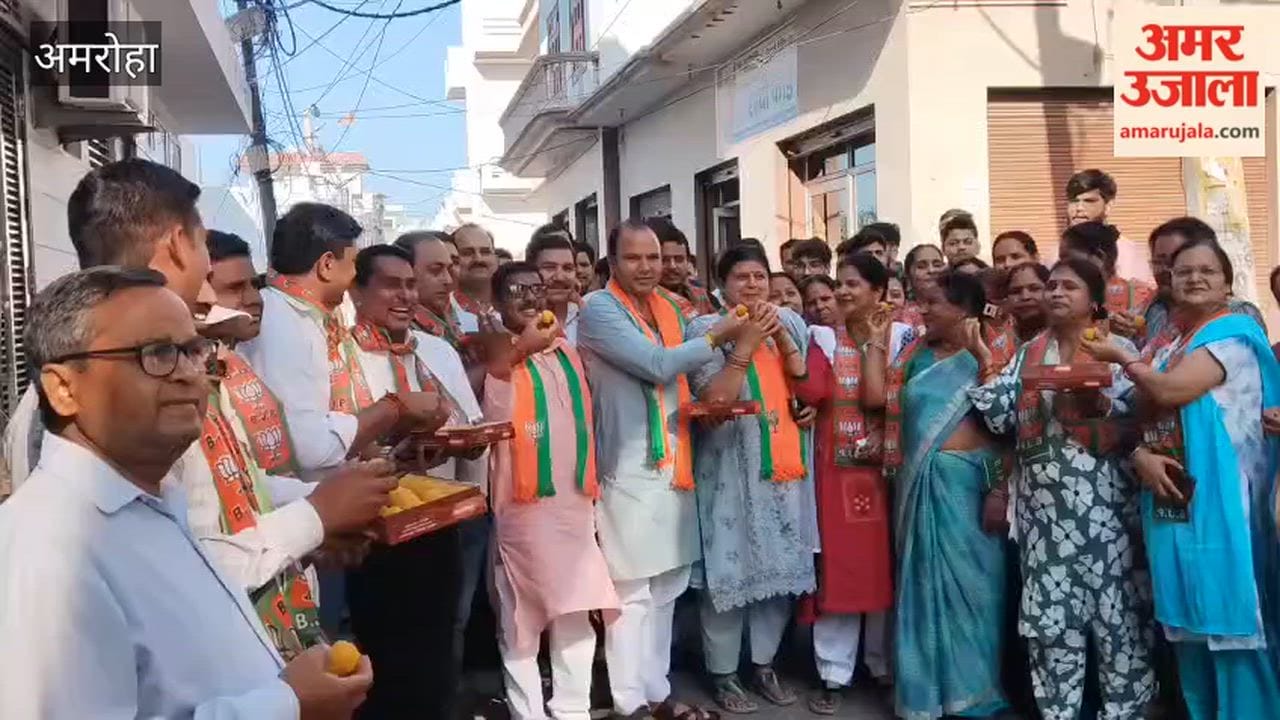 Sweets Distributed to Celebrate BJP's Victory; Workers in Gajraula Congratulate One Another