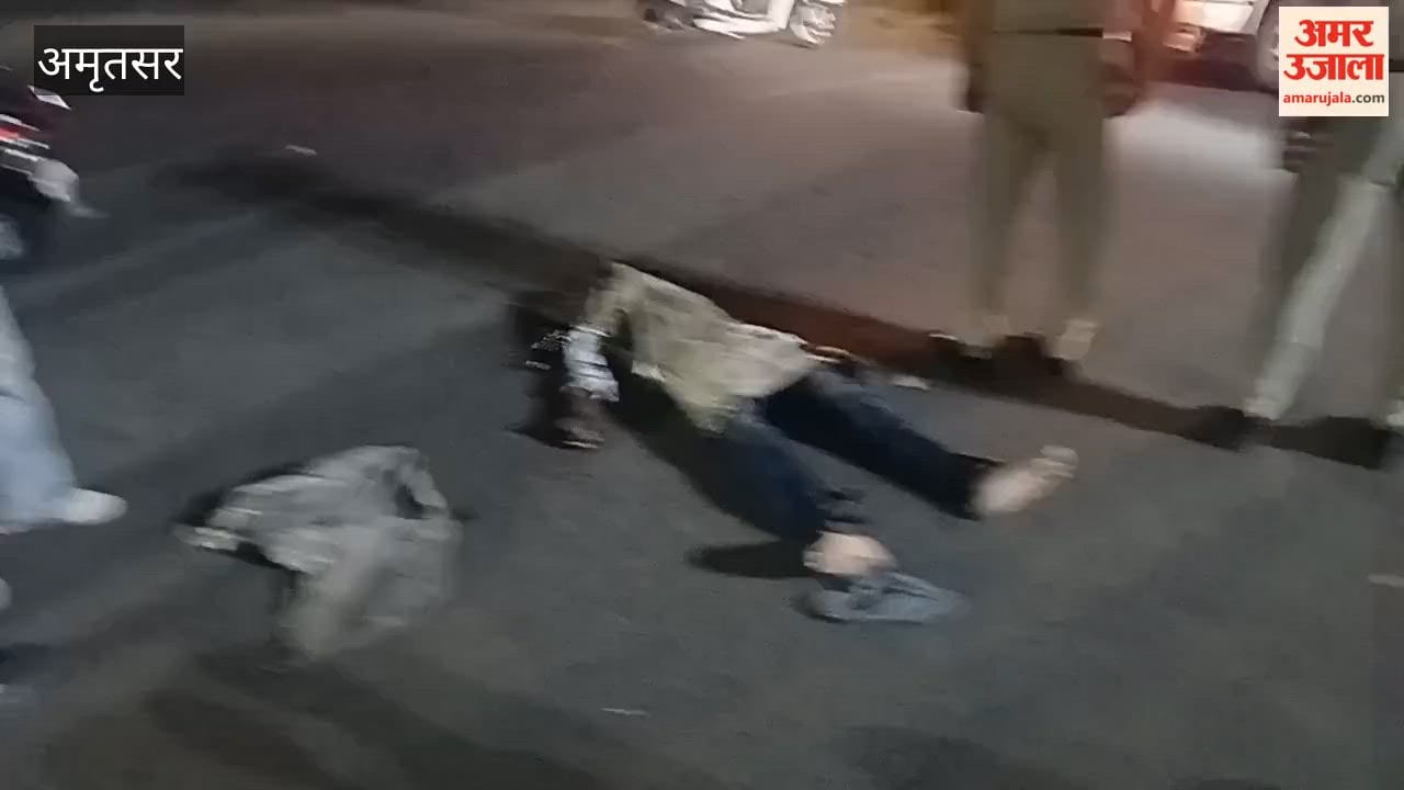 Youth Dies After Falling from Bridge in Amritsar; Suicide Suspected