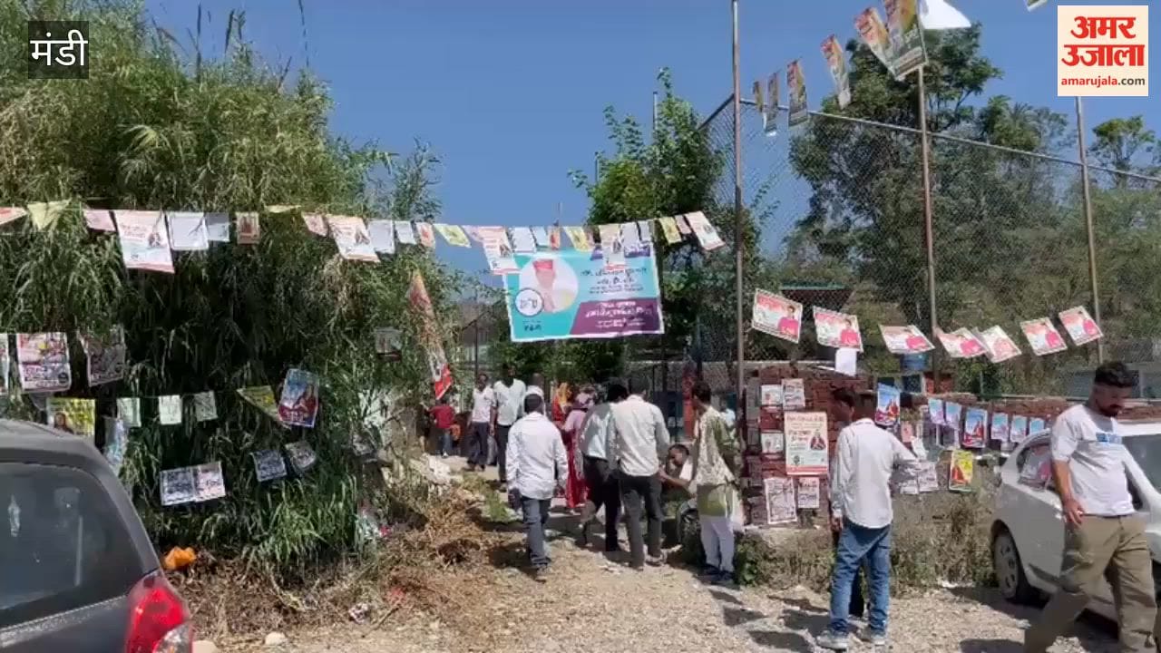 Mandi: 20.3% Voter Turnout in 9 Panchayats of Sundernagar by 10 AM