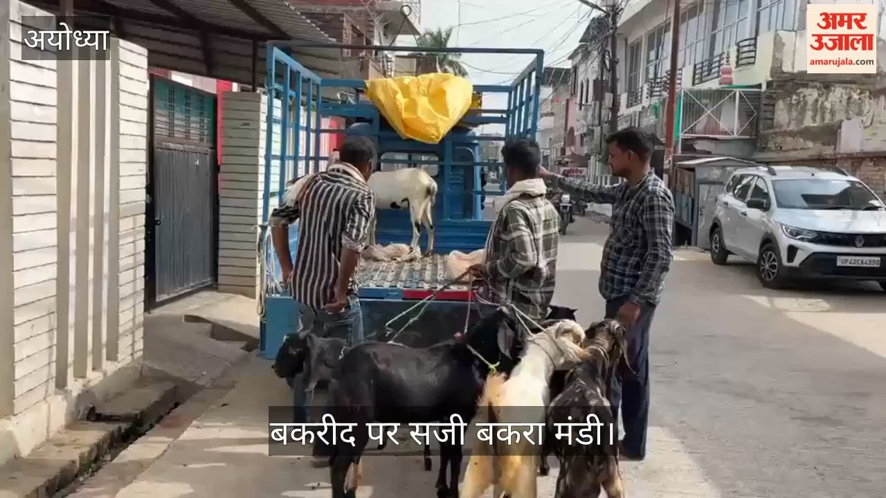 VIDEO: अल्लाह लिखा बकरा लोगों के लिए आकर्षण का केंद्र, 1 लाख तक में बिक रहे बकरे