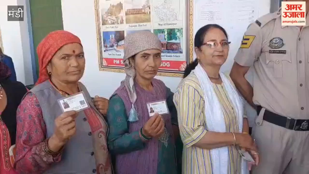 Video: Voting Begins for Phase 2 in Mandi; Enthusiasm for Polling Evident in 196 Panchayats Since Morning