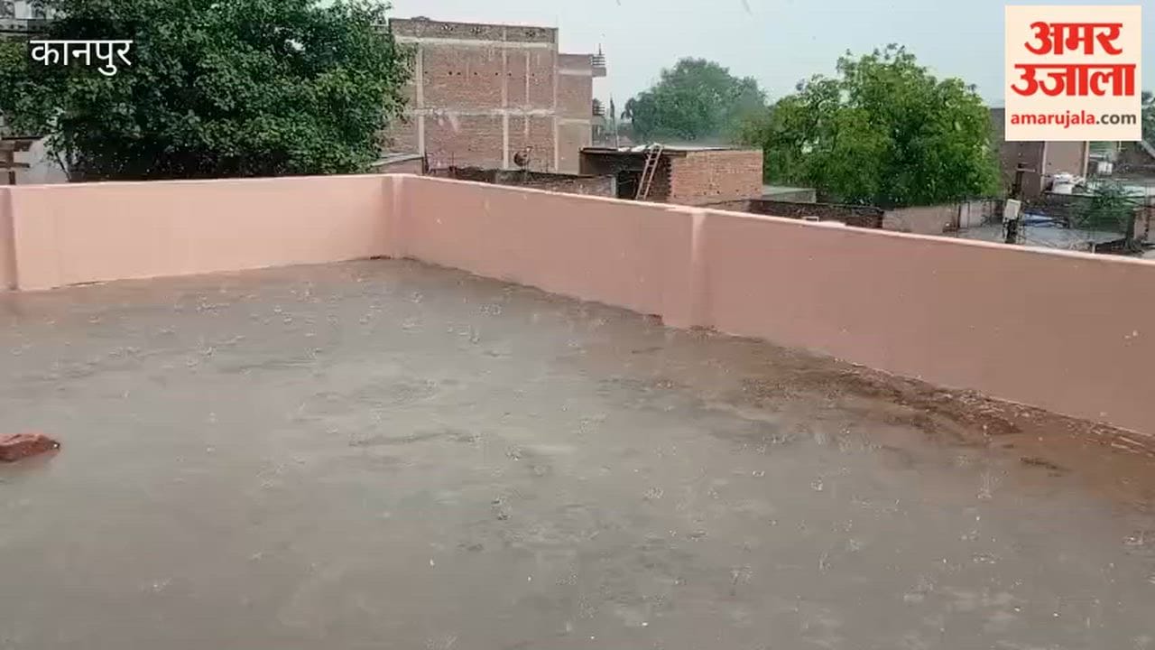 Relief Rains Down from the Sky for Farmers; Pre-Monsoon Showers to Aid Paddy Nurseries