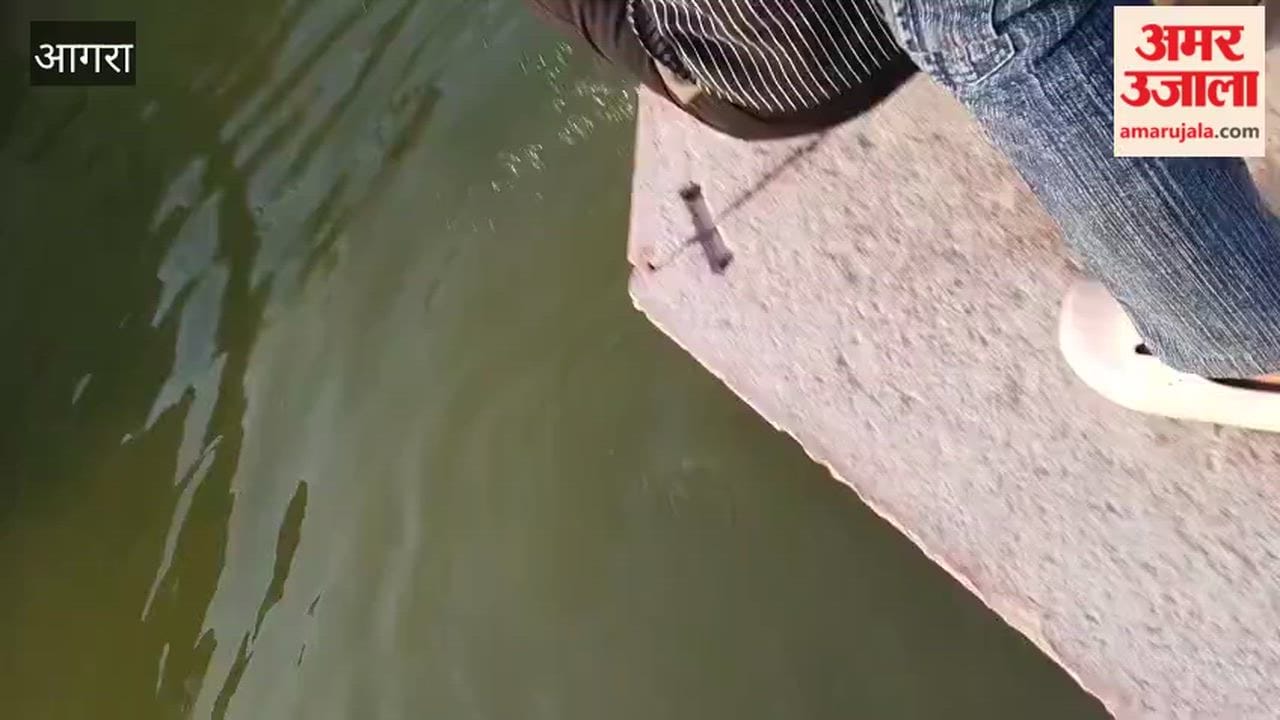 Cops Jump Into Historic Pond