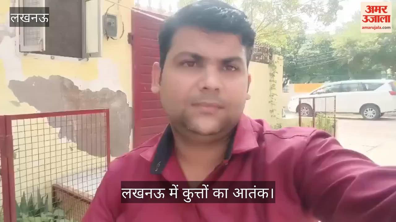लखनऊ: खतरनाक हुए लखनऊ के आवार कुत्ते, पूर्व महापौर पर किया था हमला, अमर उजाला ने की विशेष बातचीत