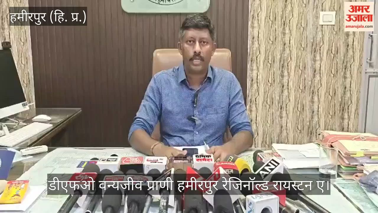 Hamirpur: 90% of the work on the first phase of Durgesh Aranya International Zoological Park completed.