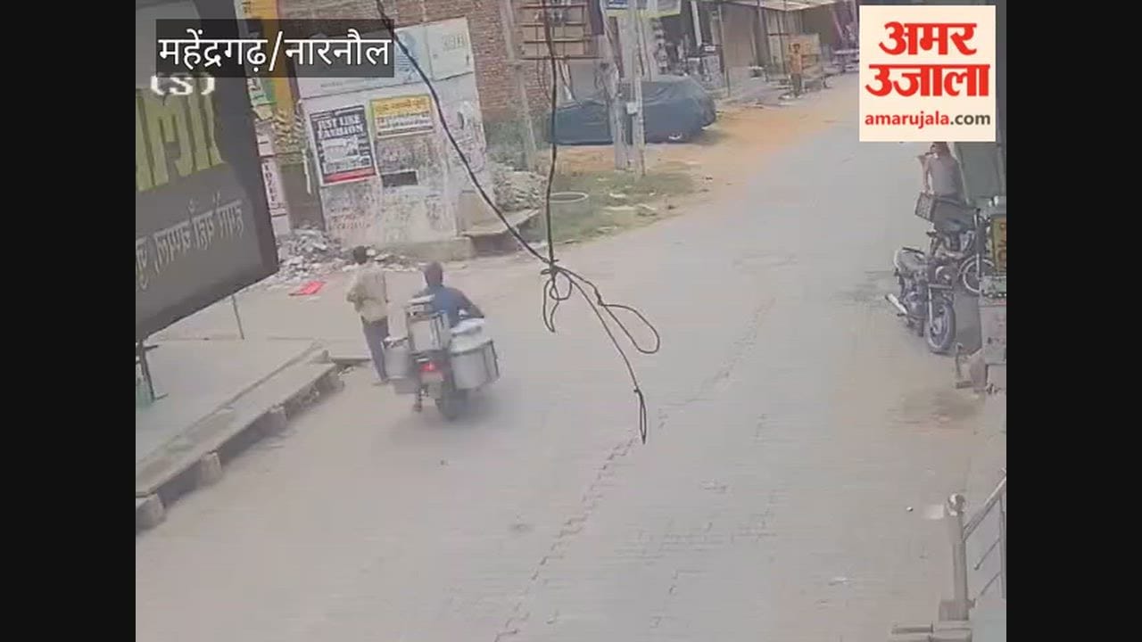 Panic in Nangal Chaudhary's Gandhi Bazaar after a baby monkey gets trapped; thoroughfare blocked.