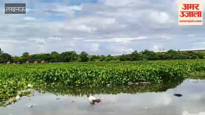 लखनऊ में गोमती का जलस्तर बढ़ने से मेहंदी घाट तक पहुंचा पानी