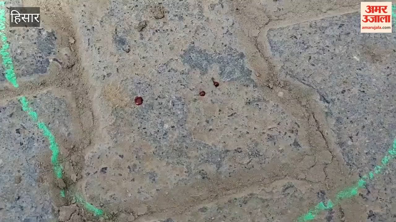 Firing incident following a domestic dispute in Hansi; brother-in-law opens fire on brother-in-law.