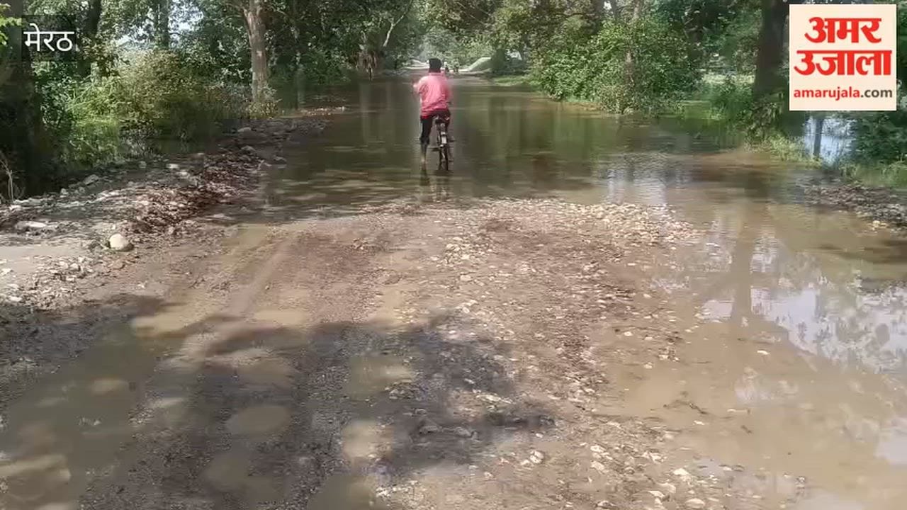 Hastinapur: Waterlogging at Bhimkund Tiraha After Rain, Mud Makes Commuting Difficult for Passersby
