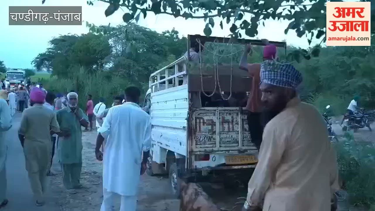Man who went to graze goats murdered in Moga