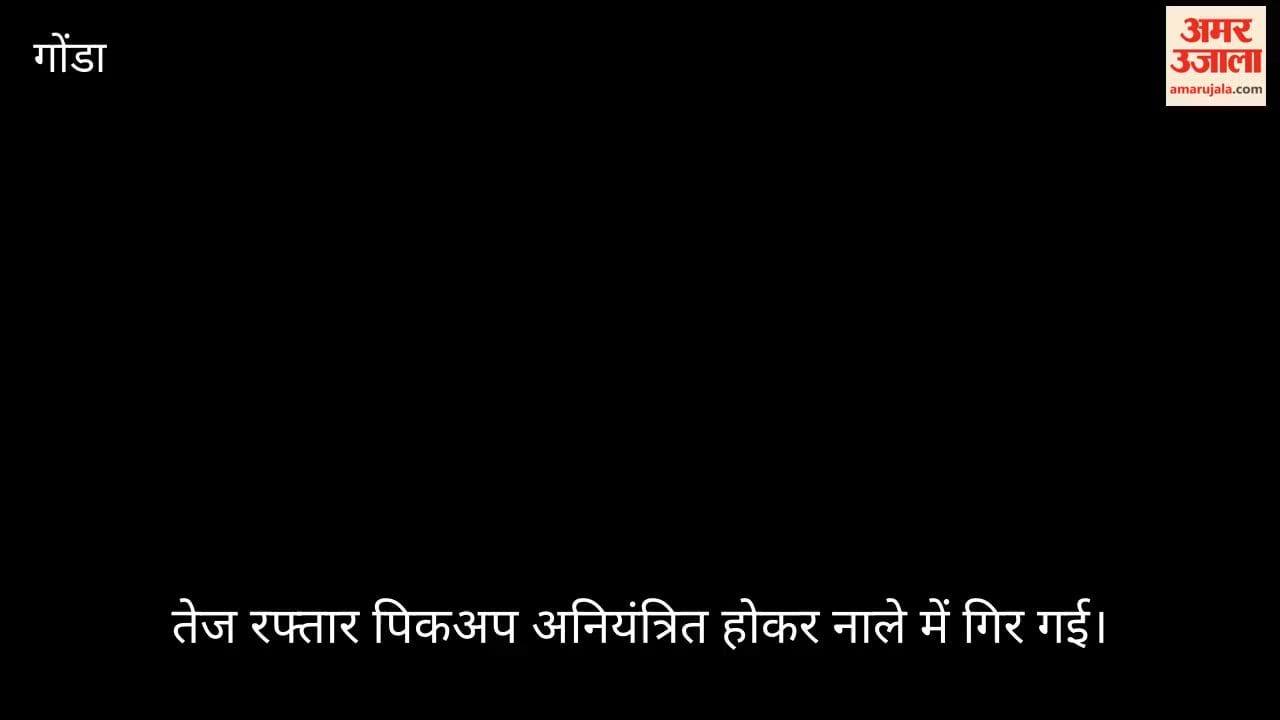 VIDEO: डेहरास रोड पर नाले में गिरी तेज रफ्तार पिकअप, चालक की मौत